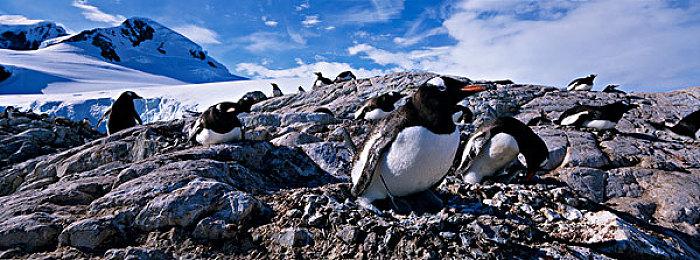 帕斯亚科技Steam秋促 《沙石镇时光》等经营游戏优惠